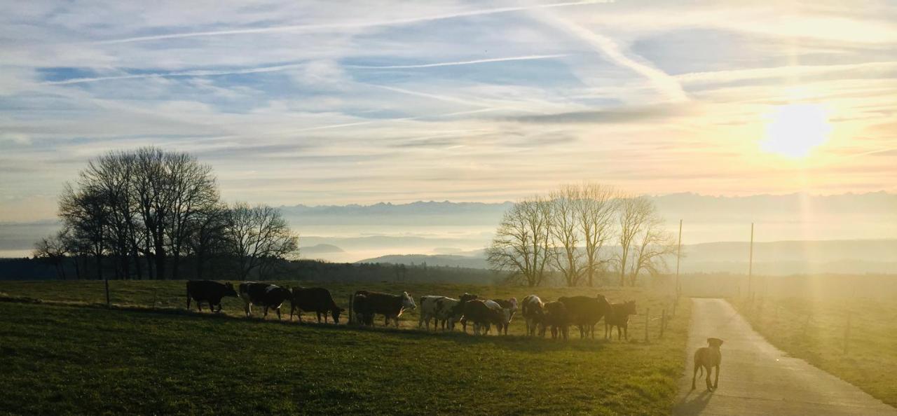 La Ferme De La Praz B&B Exteriér fotografie